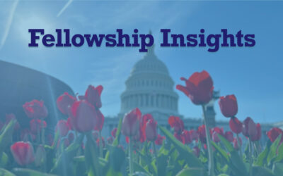 When Everything Falls Apart: What the California Poppy Teaches Us About Survival and Leadership